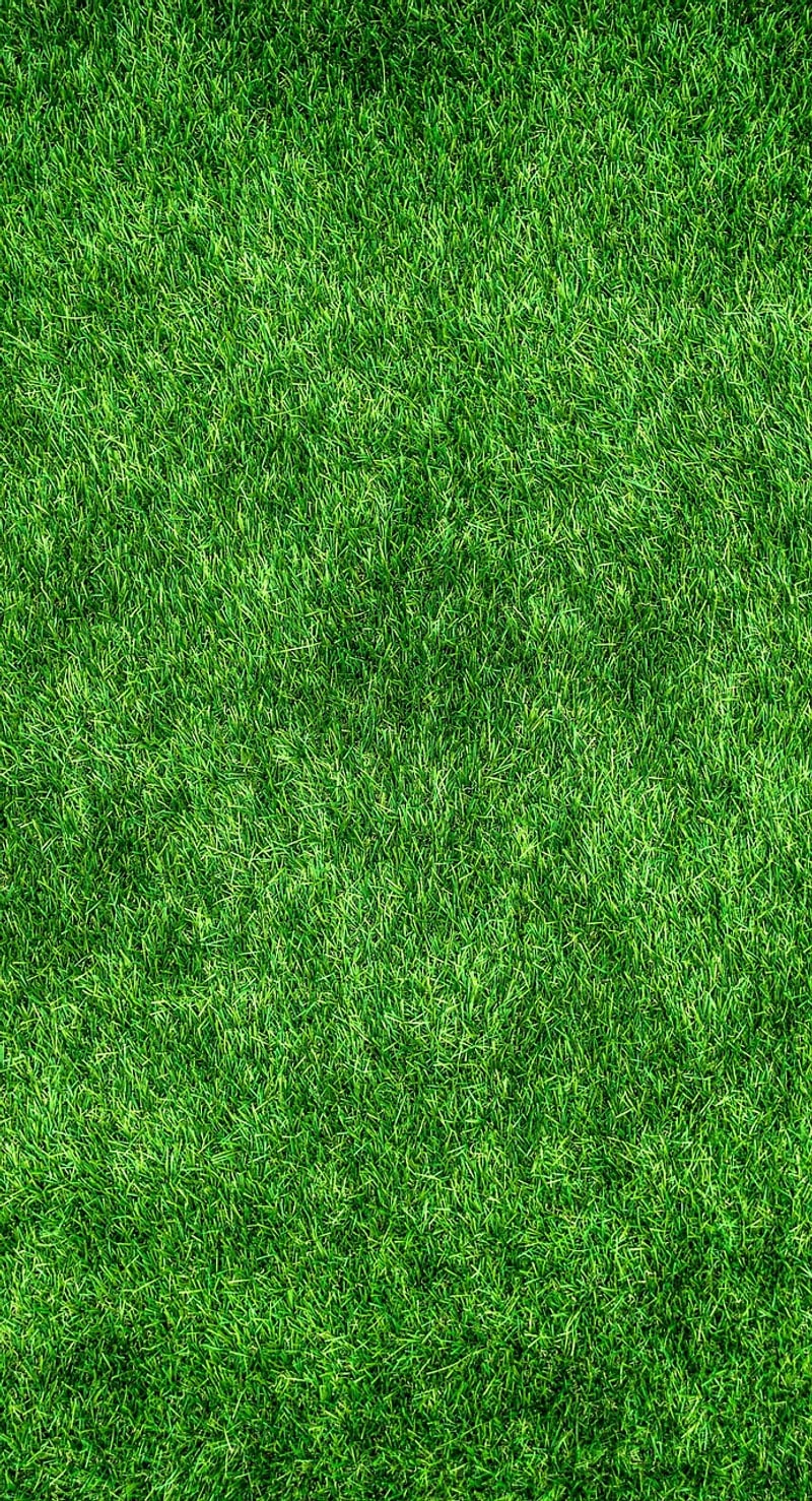 Eco-friendly concepts